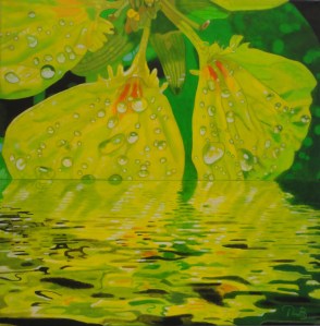 Kapuzinerkresse Wasser